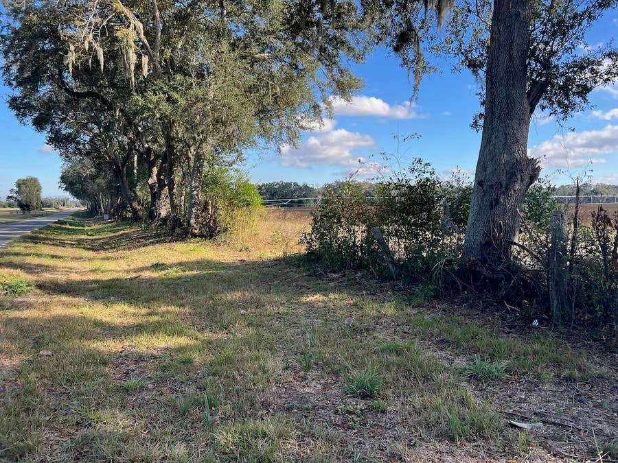 Property photo for NE 150 STREET, Trenton, FL