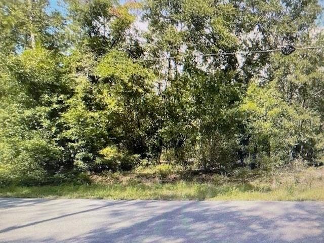 Property photo for 2265 SW ADMIRAL LANDING DRIVE, Dunnellon, FL