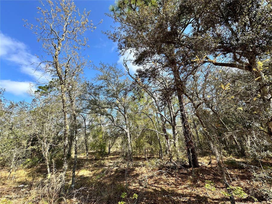 Property photo for TBD NE 68TH PLACE, Bronson, FL
