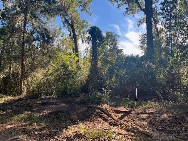 Property photo for TBD NW 160TH STREET, Reddick, FL