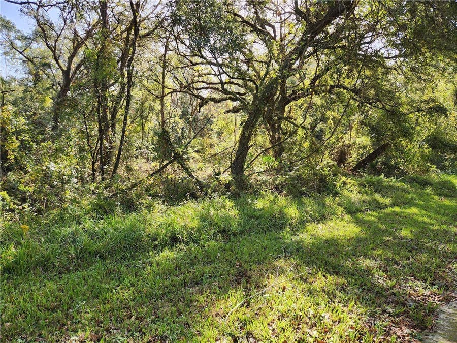 Property photo for 000 TABLE ROCK DRIVE, Webster, FL