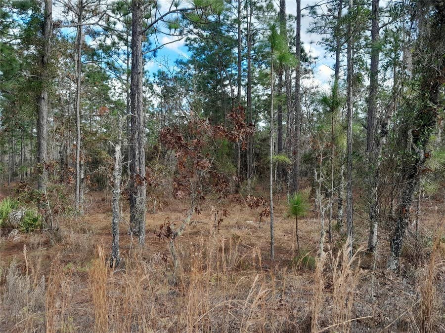 Property photo for tbd NE 150TH AVENUE, Williston, FL