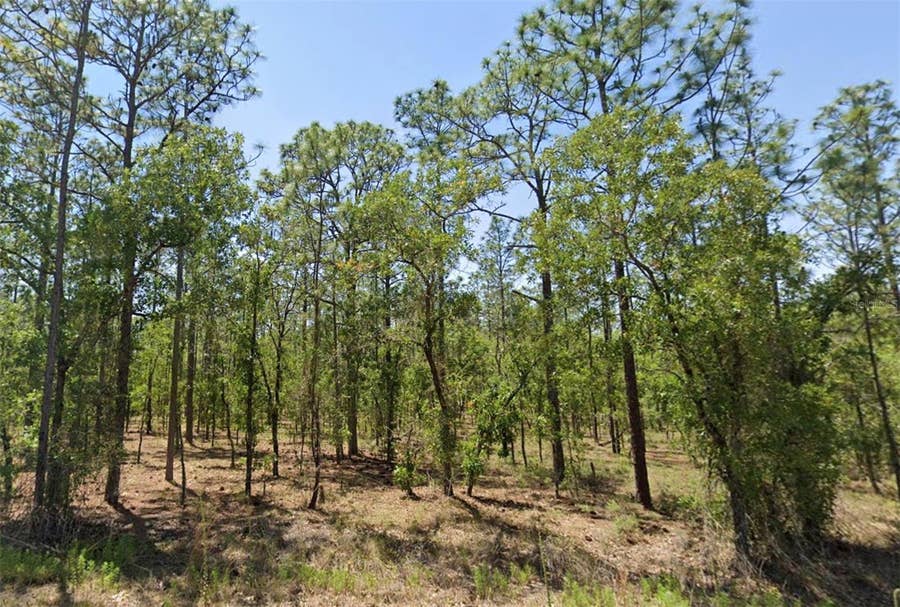 Property photo for 00 NW NARCISSUS ROAD, Dunnellon, FL