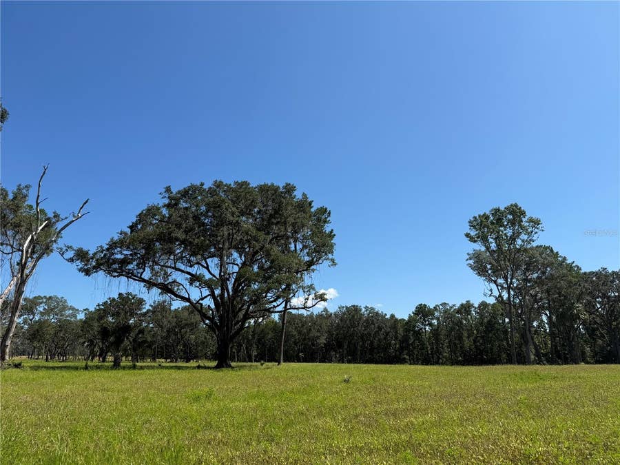 Property photo for DO #6 (24ac) NW 193RD ST, Micanopy, FL
