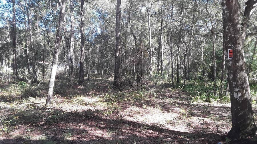 Property photo for SW 202 AVENUE, Dunnellon, FL