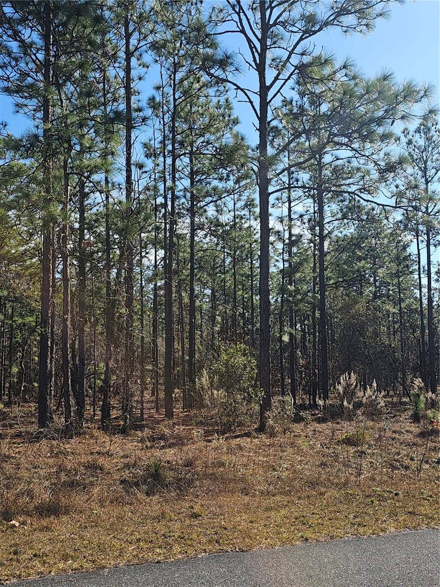Property photo for TBD SE 136TH TERRACE, Dunnellon, FL