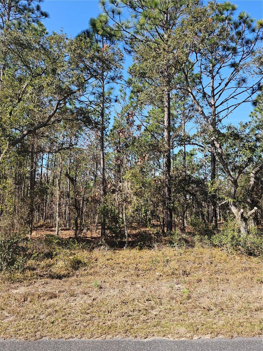 Property photo for TBD SE 136TH TERRACE, Dunnellon, FL