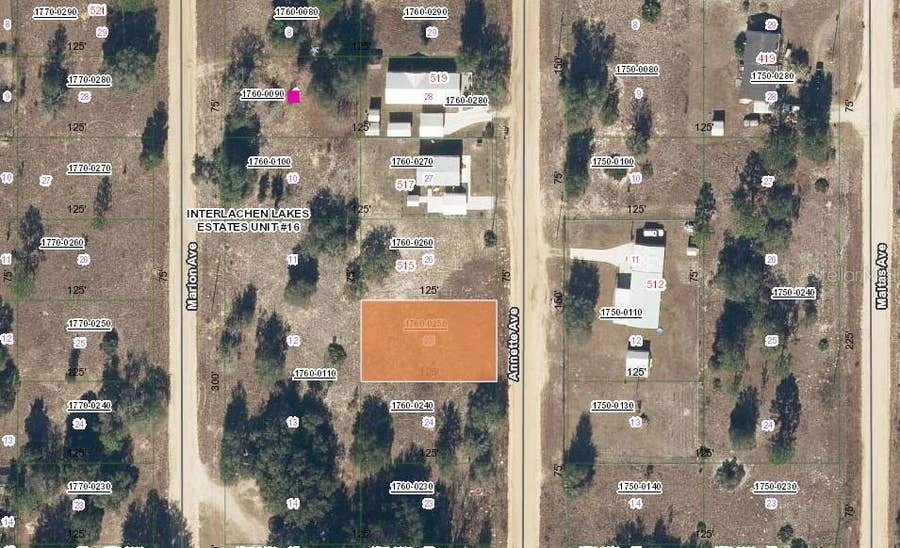 Property photo for 513 ANNETTE AVENUE, Interlachen, FL