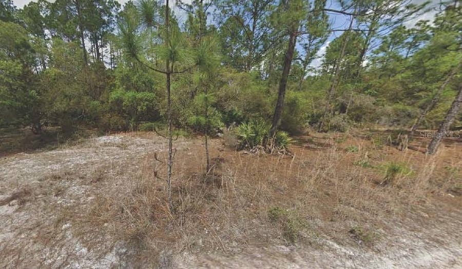 Property photo for 158 FERNCREEK DRIVE, Georgetown, FL