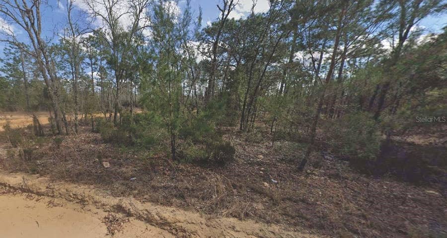 Property photo for 133 LAKE LUCY COURT, Interlachen, FL