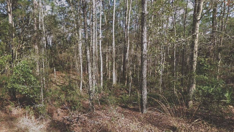 Property photo for 130 SE 5TH STREET, Palatka, FL