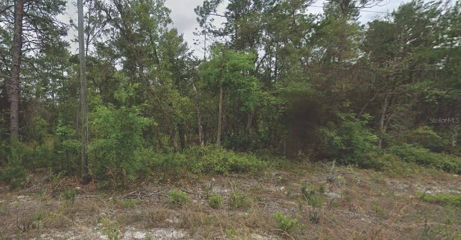 Property photo for 120 NEW YORK AVENUE, Satsuma, FL