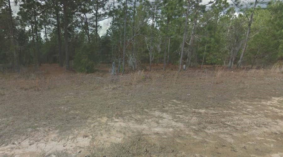 Property photo for 254 BRUSSELS AVENUE, Interlachen, FL