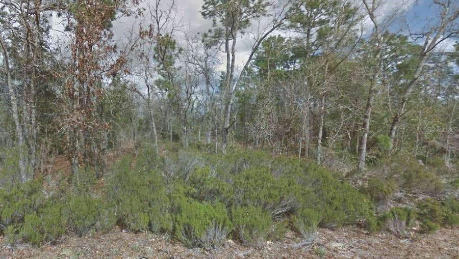 Property photo for 217 CYPRESS STREET, Interlachen, FL