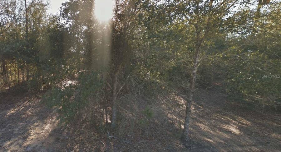 Property photo for 304 CALIFORNIA AVENUE, Interlachen, FL