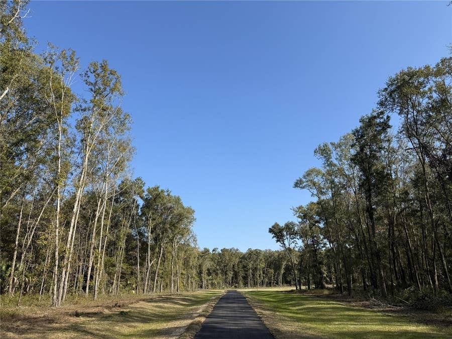 Property photo for Irvine Acres #3 (10ac) W HWY 318, Reddick, FL
