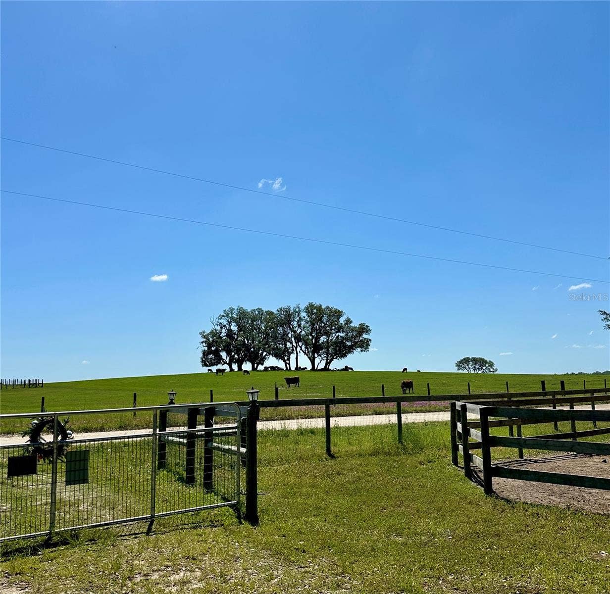 6250 SE 150TH AVENUE, Morriston, FL 32668 6250 SE 150TH AVENUE, Morriston, FL 32668