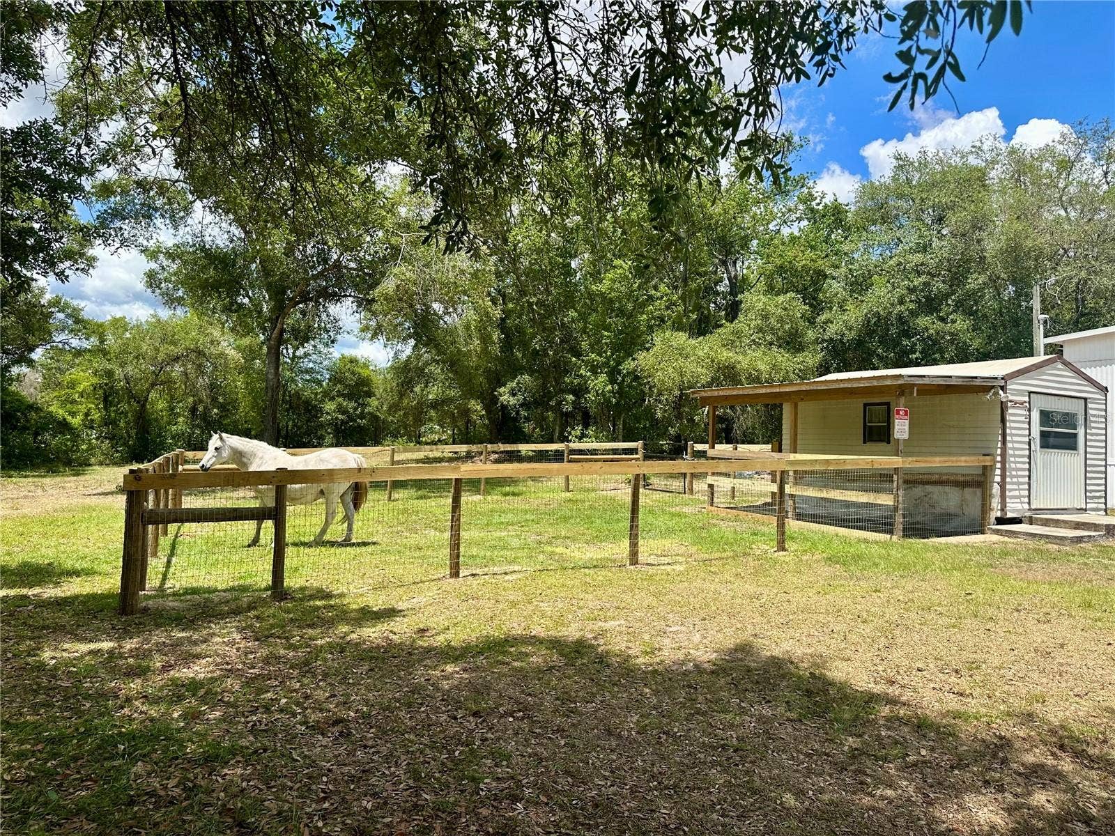 6250 SE 150TH AVENUE, Morriston, FL 32668 6250 SE 150TH AVENUE, Morriston, FL 32668