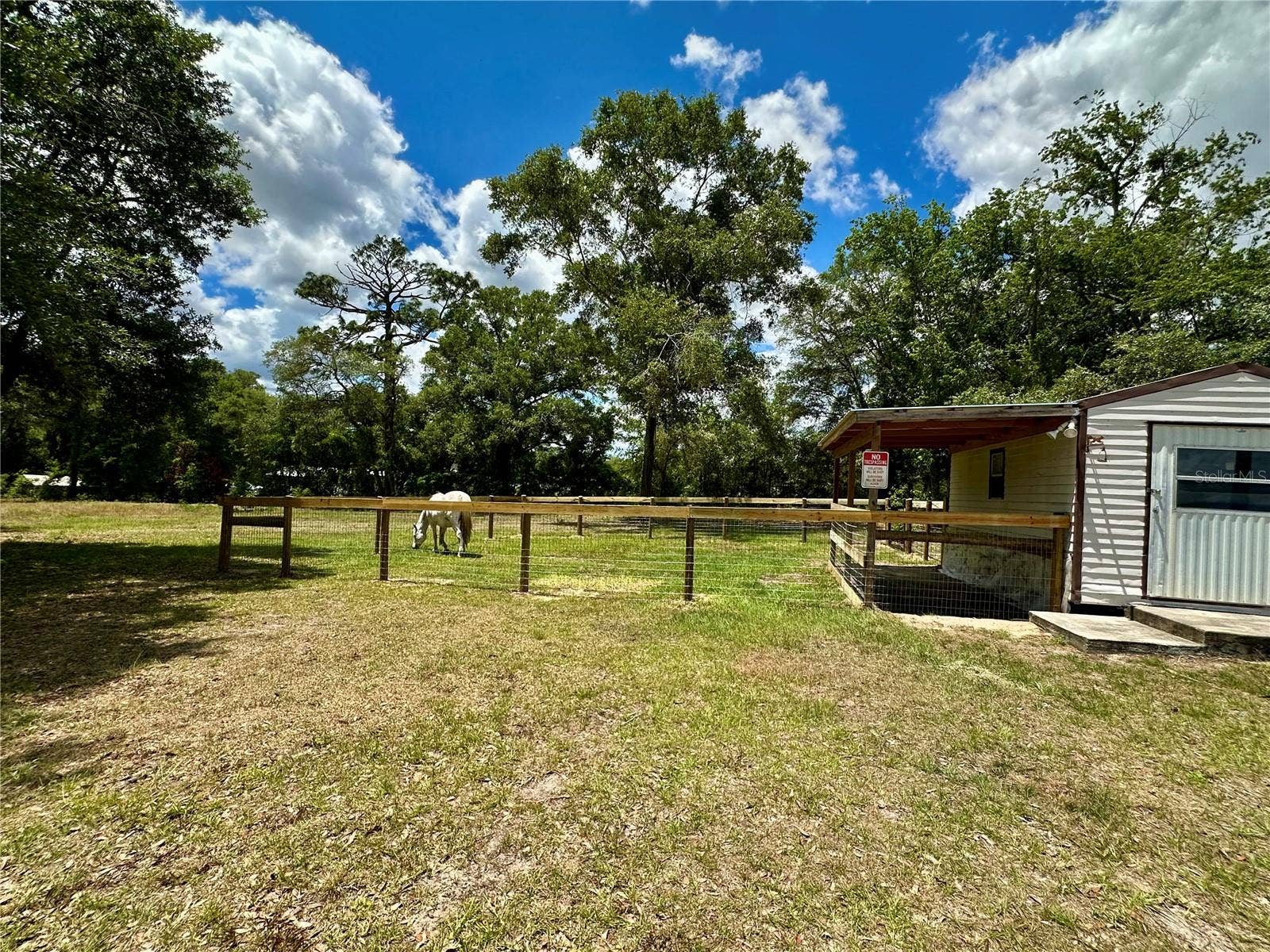 6250 SE 150TH AVENUE, Morriston, FL 32668 6250 SE 150TH AVENUE, Morriston, FL 32668