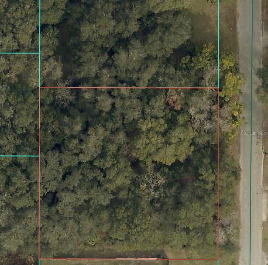 Property photo for TBD SE 94 COURT, Summerfield, FL