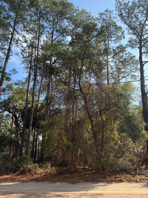 Property photo for TBD NE 236 TERRACE, Fort Mc Coy, FL