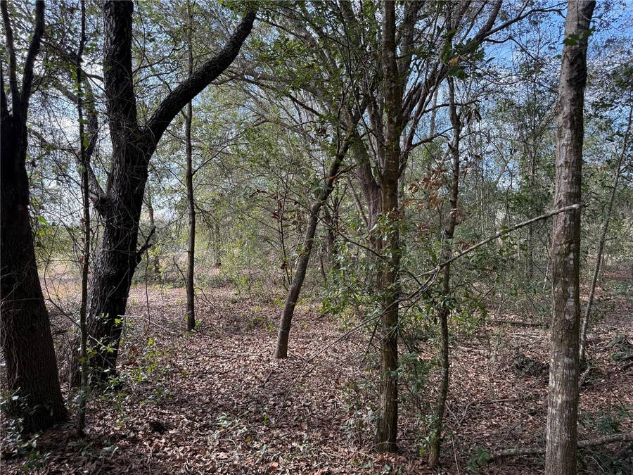 Property photo for SE 92ND COURT, Belleview, FL