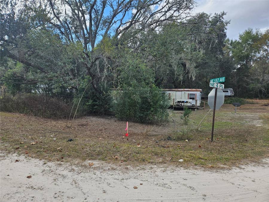 Property photo for 15950 NE 4TH PLACE, Williston, FL