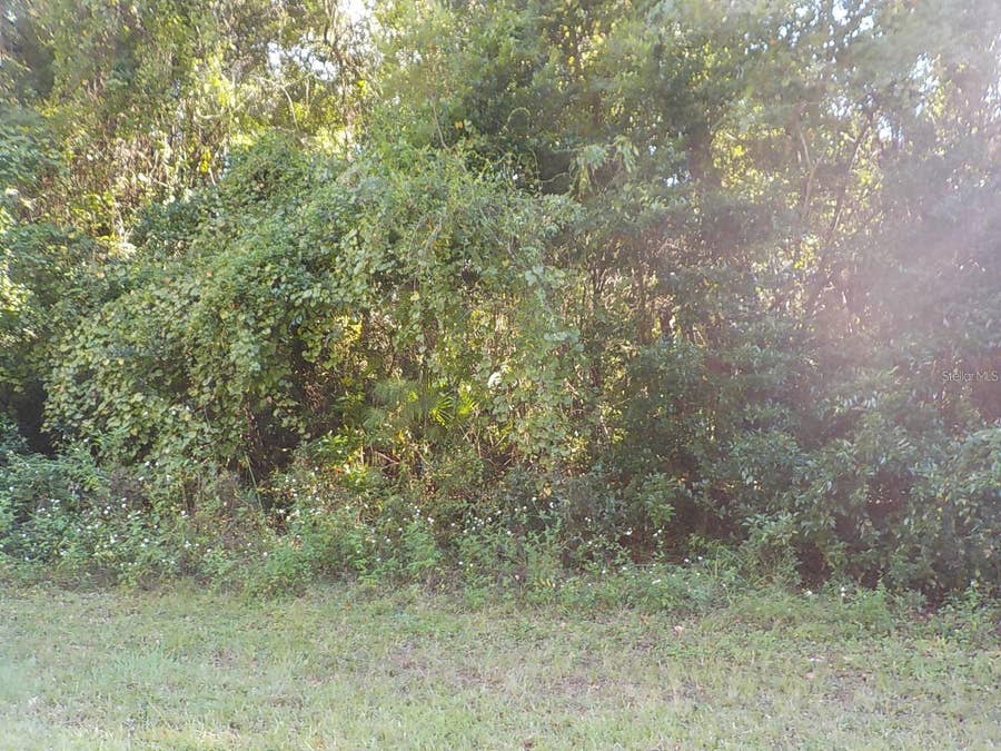 Property photo for 11641 N KENLAKE CIRCLE, Dunnellon, FL