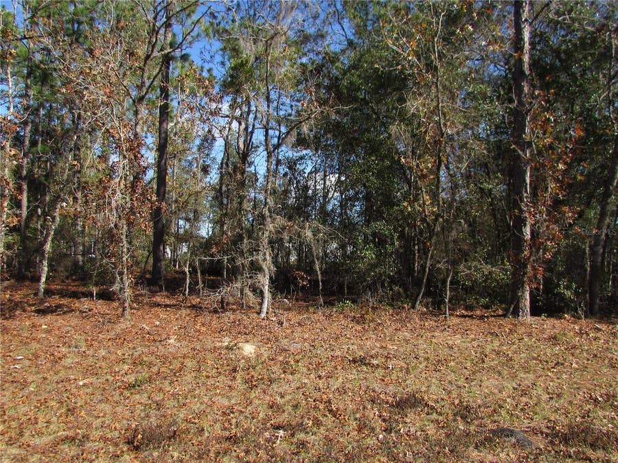 Property photo for Lot 18 SW 156 STREET, Ocala, FL