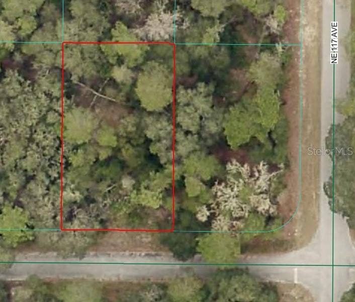 Property photo for NE 239TH ST, Fort Mc Coy, FL