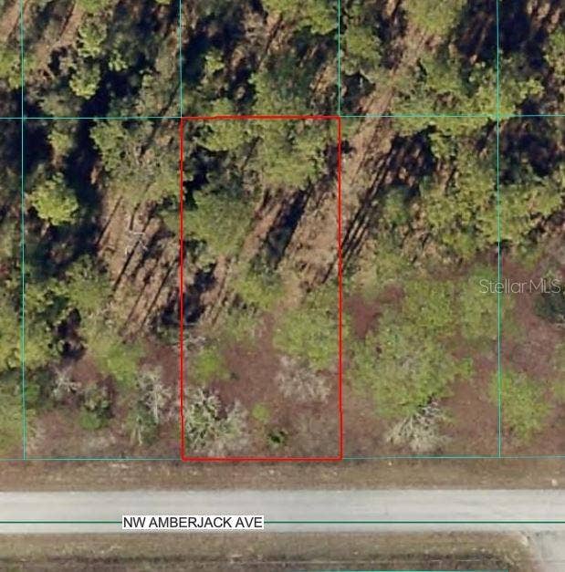 Property photo for NW AMBERJACK AVENUE, Dunnellon, FL