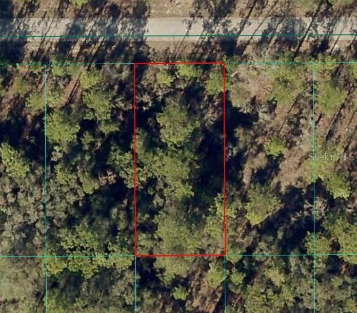 Property photo for NW BANYAN LN, Dunnellon, FL