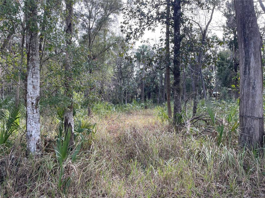Property photo for 11106 W TOWNSEND LANE, Homosassa, FL