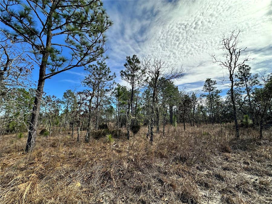 Property photo for TBD NE 150TH COURT, Williston, FL