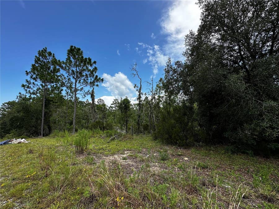 Property photo for TBD NE 16TH LANE, Williston, FL