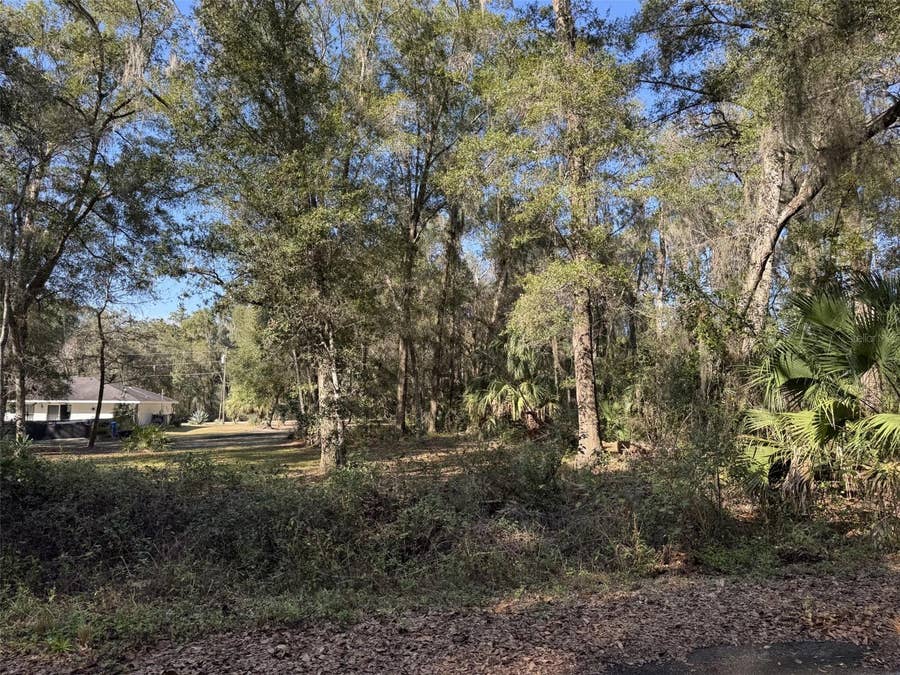 Property photo for SEQUOIA LOOP TRACK, Ocklawaha, FL