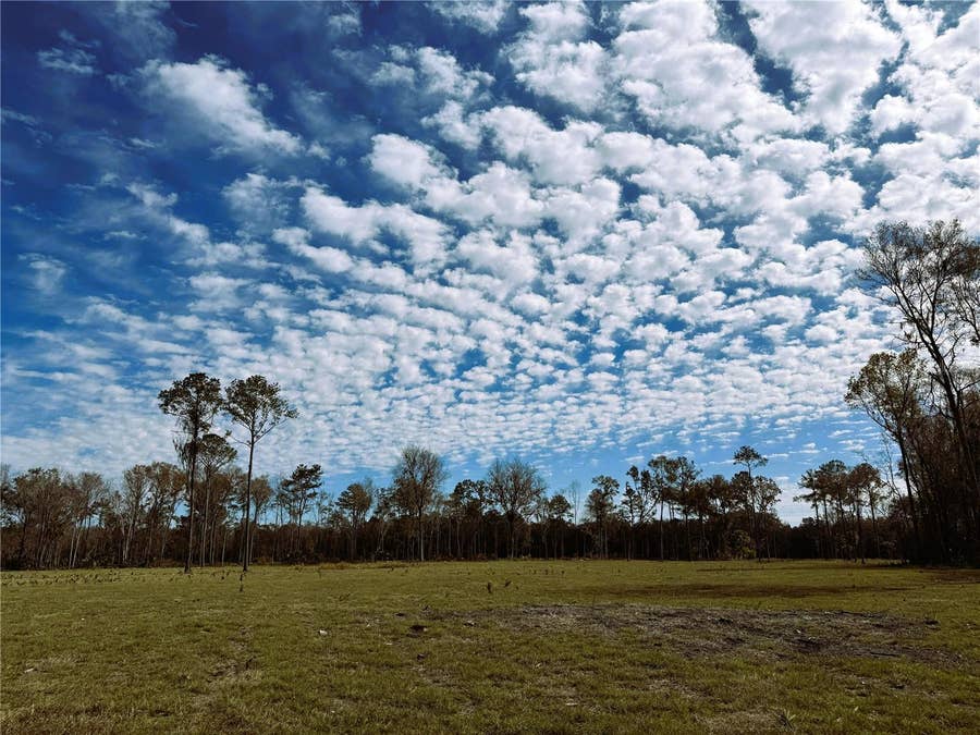 Property photo for DR #3 (10ac) NW 193RD ST, Micanopy, FL