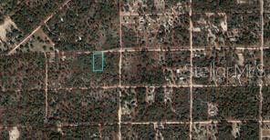 Property photo for TBD NE 90TH STREET, Bronson, FL