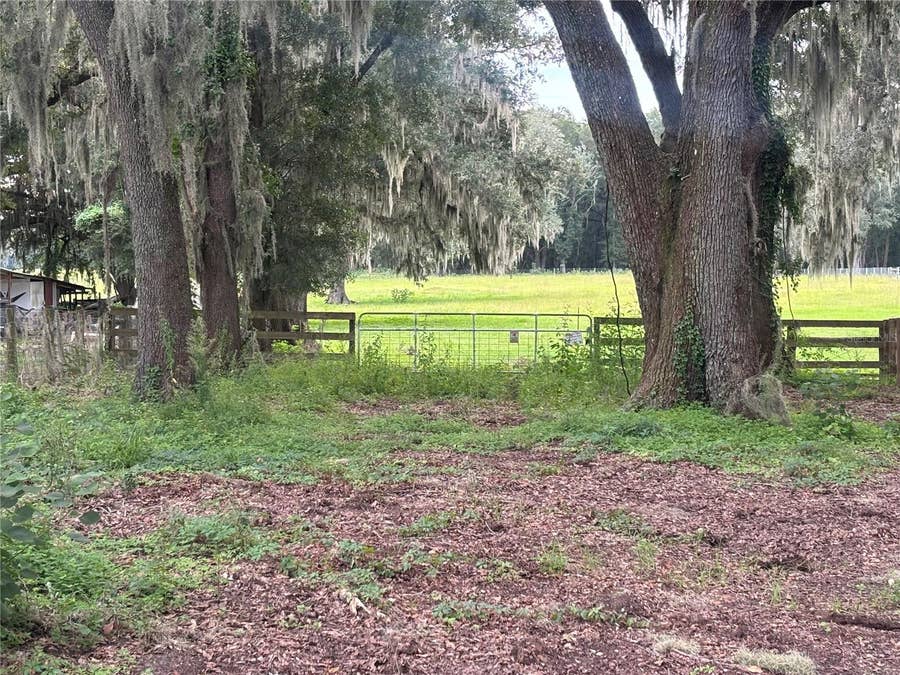 Property photo for 2051 SE 155TH STREET, Summerfield, FL