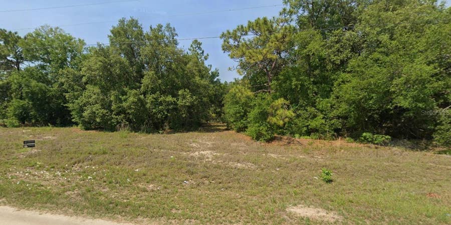 Property photo for TBD MALAUKA RUN COURT, Ocklawaha, FL