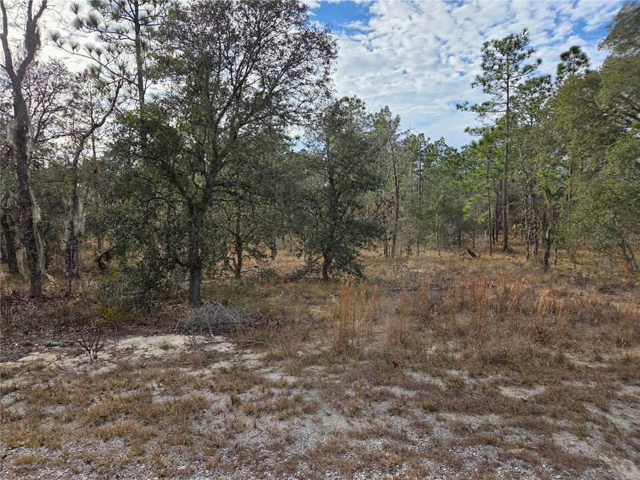 Property photo for 0000 SE 128TH AVENUE, Dunnellon, FL