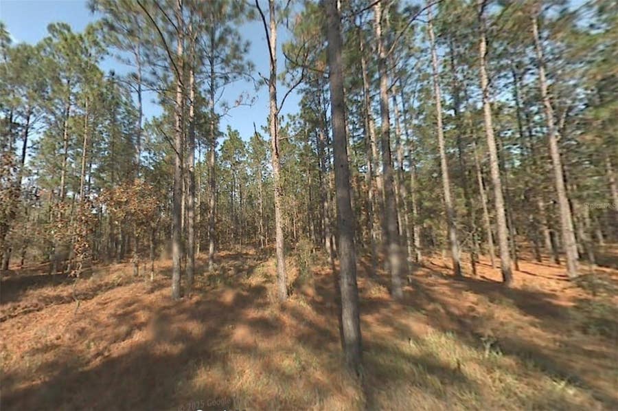 Property photo for 00 SW 39TH STREET, Dunnellon, FL