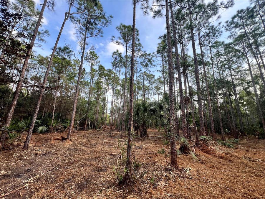 Property photo for PANTERA LN, Naples, FL