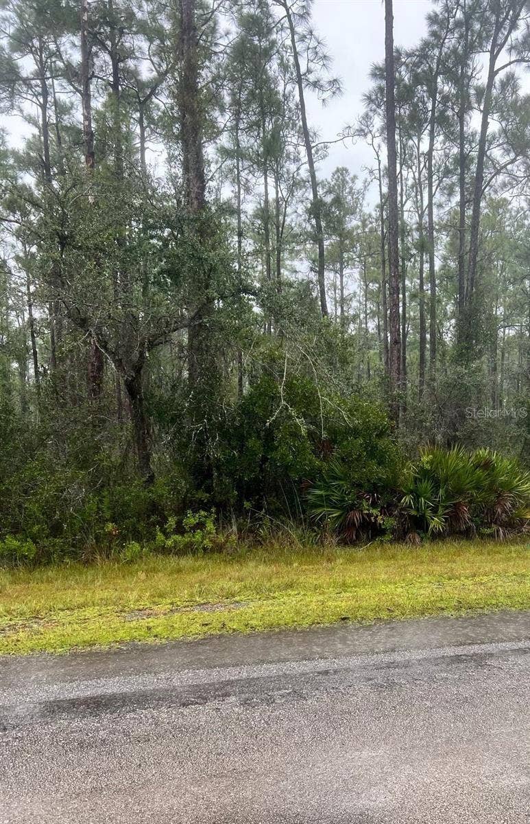 Property photo for 0 GAILLARDIA DRIVE, Indian Lake Estates, FL