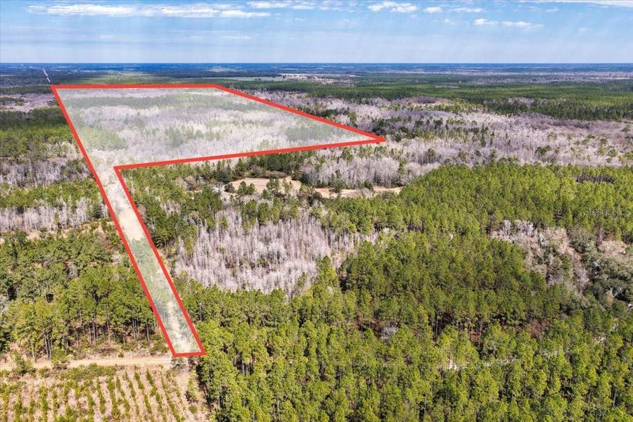 Property photo for 60 Acres NW CLYATT ROAD, Chiefland, FL