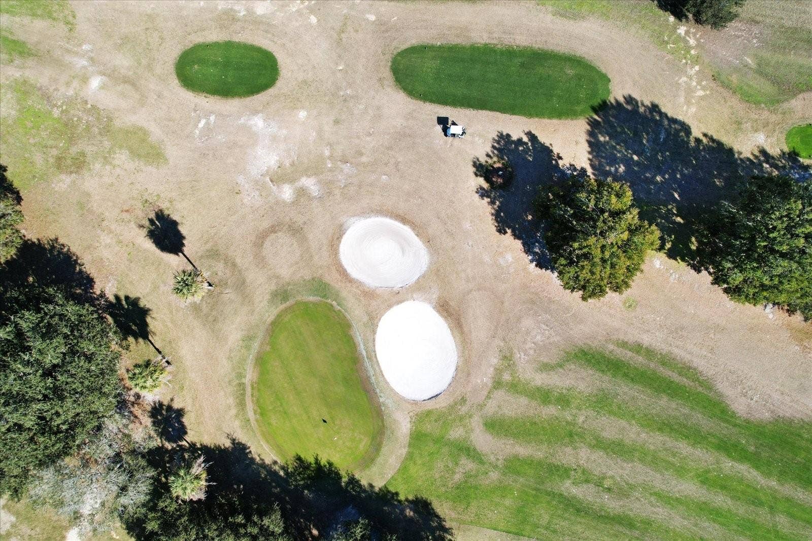 2311 N ANDREA POINT, Lecanto, FL 34461 Golf Course