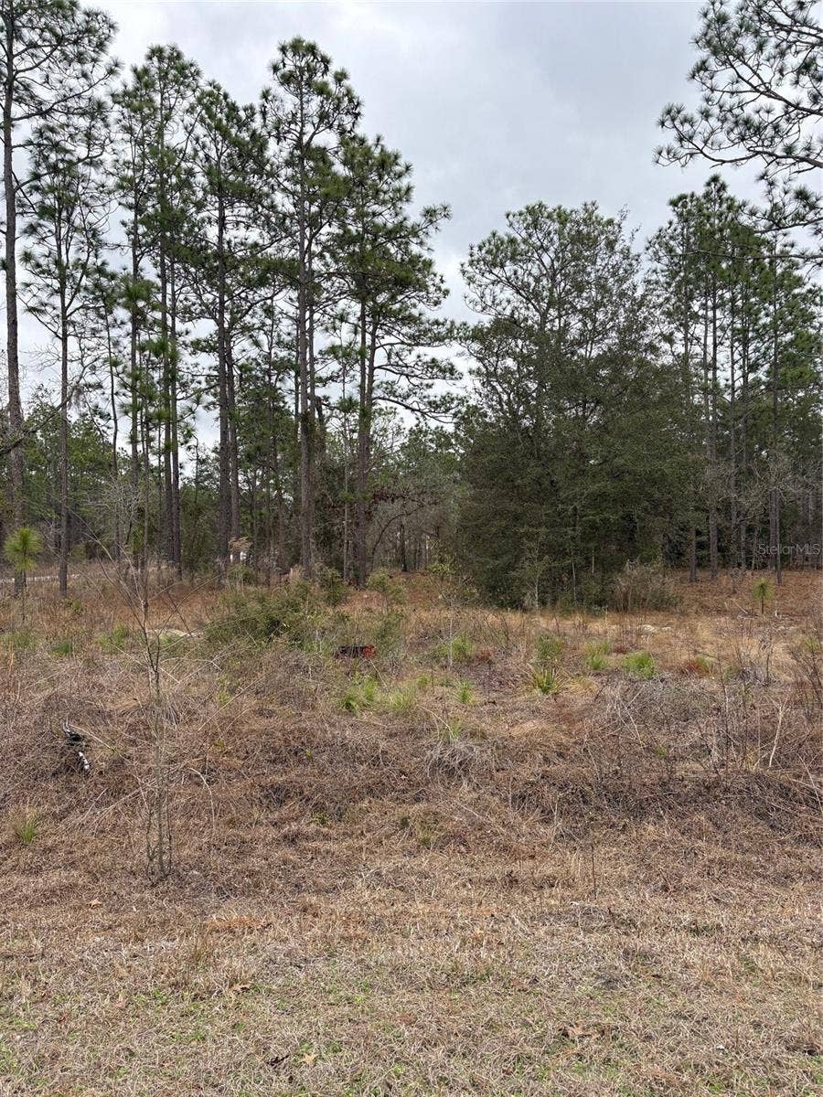 Property photo for 1159 NW REDWOOD DRIVE, Dunnellon, FL