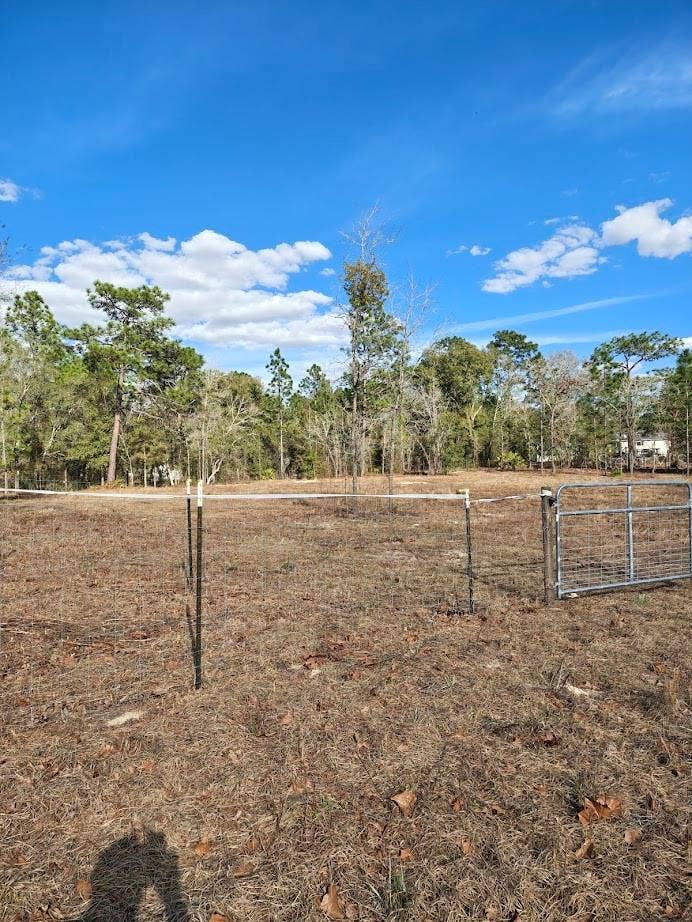Property photo for 13105 SW 91ST PLACE, Dunnellon, FL