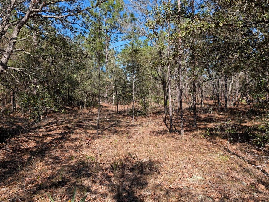 Property photo for SW 81ST STREET, Dunnellon, FL