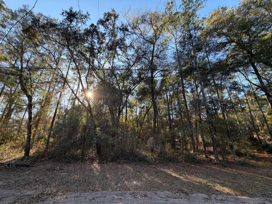 Property photo for TBD NE 150 AVENUE, Fort Mc Coy, FL